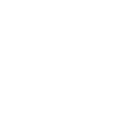digitale kultur